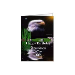  Happy Birthday ~ Grandson / 16th ~ Eagle Reflections Card 