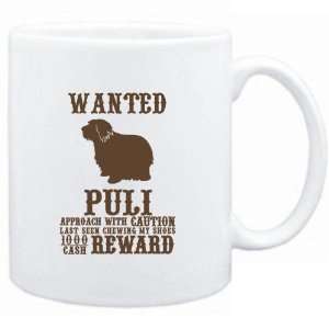  Mug White  Wanted Puli   $1000 Cash Reward  Dogs Sports 