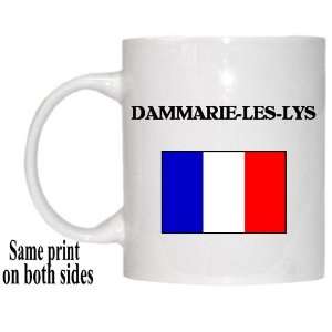  France   DAMMARIE LES LYS Mug 