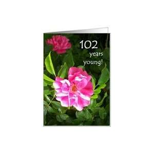  102nd Birthday Card   Pink Roses Card Toys & Games