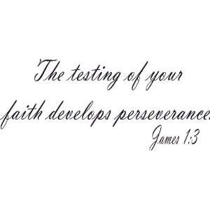   Art, the Testing of Your Faith Develops perseverance 