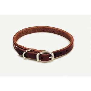   Latigo Collar 1/2x14 (Catalog Category Dog / Leather Collars Leads