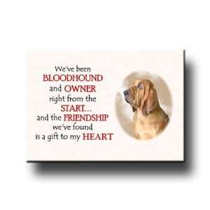  Bloodhound Friendship Fridge Magnet 