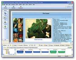 Software Shop   WebEasy 8 Professional [Old Version]
