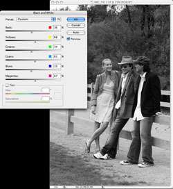 Simple, intuitive, point and click monochrome conversion is yours with 