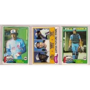 1981 Topps Montreal Expos Complete Team Set (30 Cards 