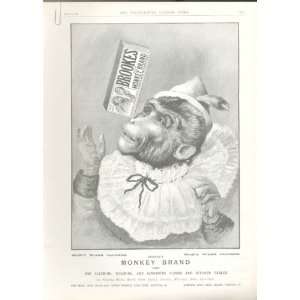  Advert Brookes Monkey Brand Soap On Nose 1895