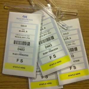  Cruisetags, Cruise Ship Luggage Tags (8 Pack) Office 