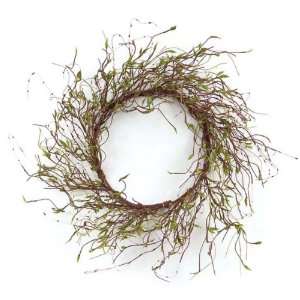  Pack of 2 Spring Serenity Decorative Artificial Willow 