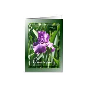  37th Anniversary ~ Flower / Purple Iris and leaves Card 