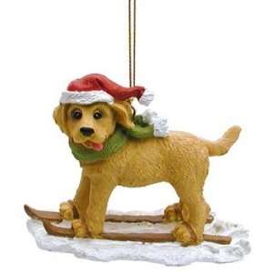  Skiing Yellow Lab Puppy Ornament
