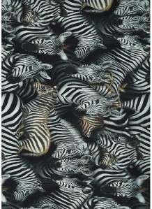 OUT OF AFRICA ZEBRAS ALLOVER~ Cotton Quilt Fabric  