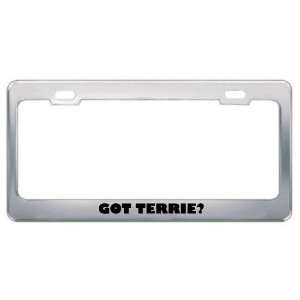  Got Terrie? Girl Name Metal License Plate Frame Holder 