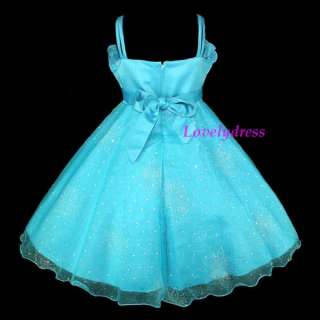 NEW Flower Girl Wedding Pageant Party Dress Outfit Children Blues SZ 