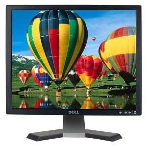 Dell E196FPb 19Inch VGA LCD PC Monitor 1280x1024 A  