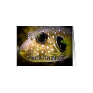 6 Months Clean and Sober, Puffer Fish Congratulations Card 