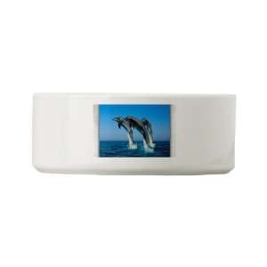  Dog Cat Food Water Bowl Dolphins Dancing 