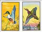 playing swap cards piatnik vintage ducks 