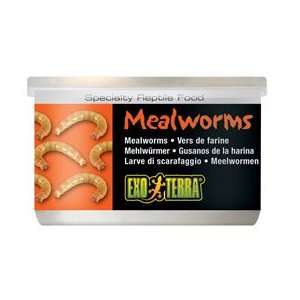  Exo Terra Meal Worms   1.2 oz