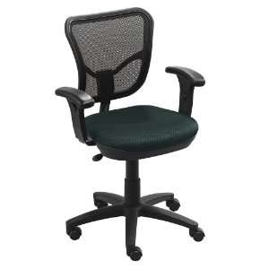  Ergocraft Standard Mesh Task Chair