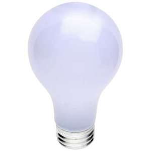  25 watt A19 incandescent bulb