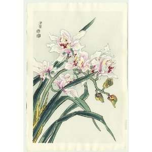   Kotozuka Japanese Woodblock Print; Orchids (Left)