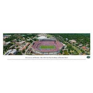   Hill Griffin Stadium at Florida Field Panoramic Print