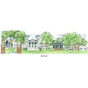  Wofford University   Collegiate Colors   5 x 13 Inch 
