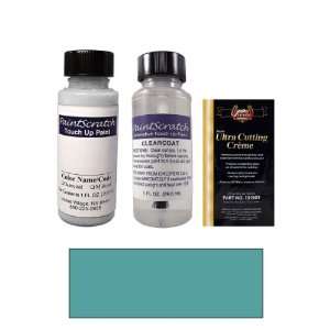  1 Oz. Aquamarine Frost Metallic Paint Bottle Kit for 1994 