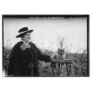  Photo Mrs. A.McAllister and Smoke Persian cat 1900