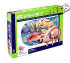 4D Vision Puzzle Animal Anatomy Series 3D Model NEW Pig
