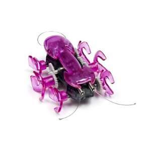  Hexbug Ant   Purple Toys & Games