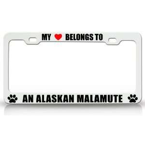  MY HEART BELONGS TO AN ALASKAN MALAMUTE Dog Pet Steel 