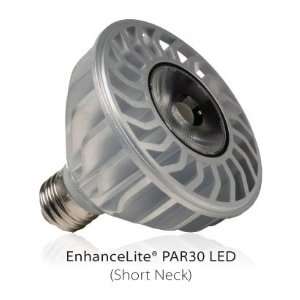 PAR30 S   14.3 Watt   Short Neck   Cool White LED Lamp   Dimmable   27 