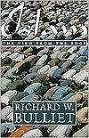 Islam The View from the Edge, (0231082193), Richard W. Bulliet 