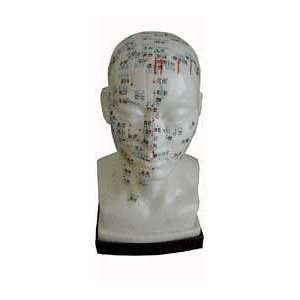  Acupuncture Human Head Model 20cm