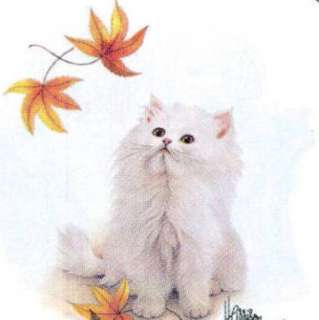 NEW Cat T Shirt White Autumn Leaves Kitten L, XL Adult  