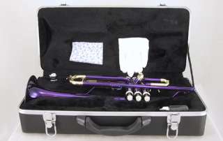 Beautiful Purple/Gold Trumpet w Case *Great Gift*  