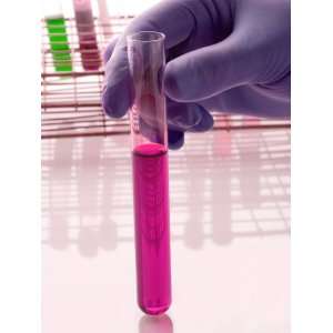  Testtube Used in Research Biotech Genome Genetics 