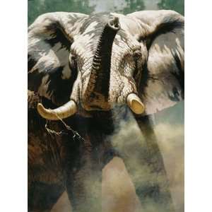  Guy Coheleach   The Last Water Hole Canvas Giclee