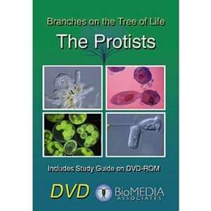 Branches on the Tree of Life The Protists DVD  Industrial 