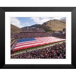   Photos 417431 L 15x20 Washington Grizzly Stadium