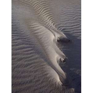  Sand Dune Formations with Frost, Great Sand Dunes National Park 