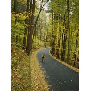  Biker on Road Amidst Fall Foliage National Geographic 