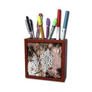   Grain and Texture   Tile Pen Holders 5 inch tile pen holder Office