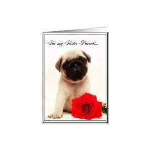  Happy Anniversary Foster Parents Pug puppy Card Health 