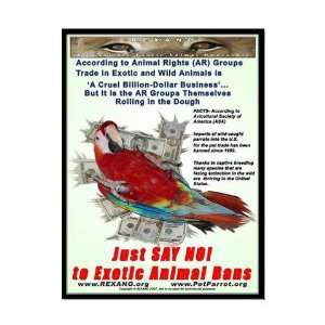  Parrot Money, Pets Large Poster by  Everything 