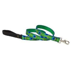  Lupine 1 Inch Tail Feathers 4 Feet Dog Lead