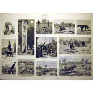   1882 Plantagenet Trot Dogs Keeper Pointer Pigs Animal
