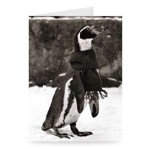  Humperdink The penguin   January 1979   Greeting Card 